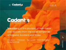 Tablet Screenshot of cadantis.com